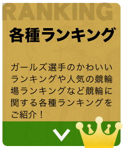 各種ランキング