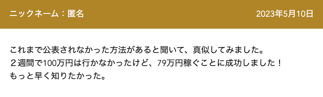 2週間で100万円稼ぐ方法_口コミ2