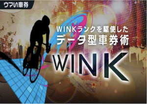 WINKを徹底調査！口コミ・評判・予想精度までご紹介！画像