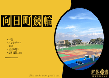 向日町競輪場画像