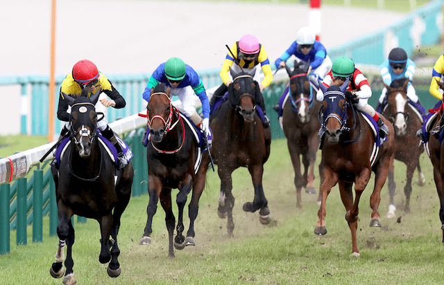 競馬の特徴について