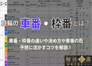 競輪の車番・枠番について徹底解説！それぞれの違いや予想に活かすコツをご紹介！画像