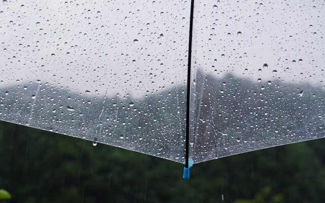 雨の影響
