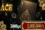 ACE 画像